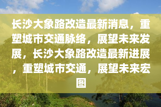 長(zhǎng)沙大象路改造最新消息，重塑城市交通脈絡(luò)，展望未來(lái)發(fā)展，長(zhǎng)沙大象路改造最新進(jìn)展，重塑城市交通，展望未來(lái)宏圖